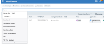 Filtering Virtual Servers