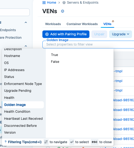 Golden Image for VENs